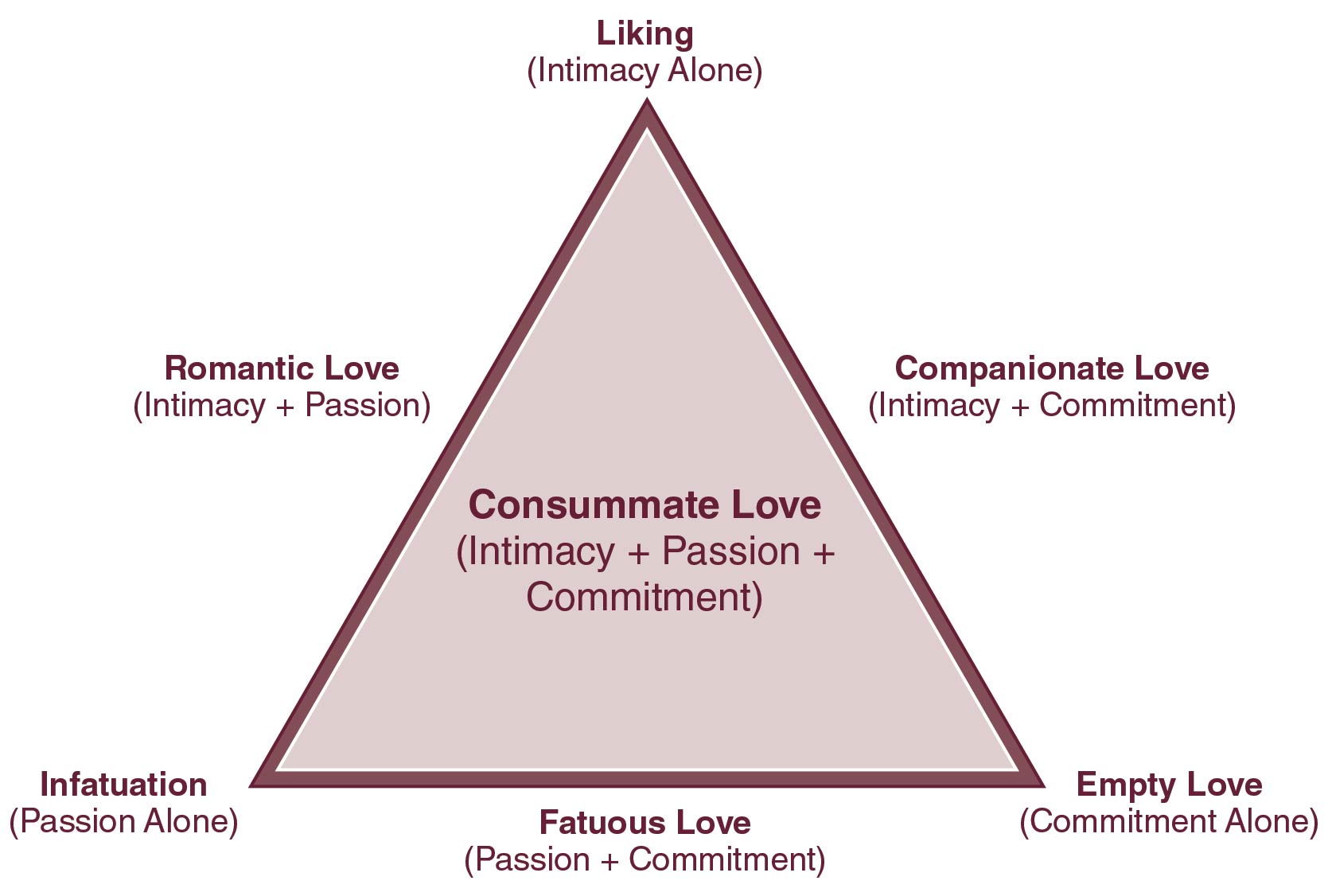 Illustration showing the types of love according to Sternberg's theory. The illustration is made up of one pink triangle. The only label contained within the triangle is "consummate love (intimacy plus passion plus commitment)". The rest of the labels are on the outside of the triangle. The top point is labeled "liking (intimacy alone)." The bottom left point is labeled "infatuation (passion alone)." The left side of the triangle between these points is labeled "romantic love (intimacy plus passion)." The bottom right point is labeled "empty love (commitment alone)." The bottom side of the triangle (between the bottom left and bottom right points) is labeled "fatuous love (passion plus commitment)." The right side of the triangle (between the top point and bottom right point) is labeled "companionate love (intimacy plus commitment)."