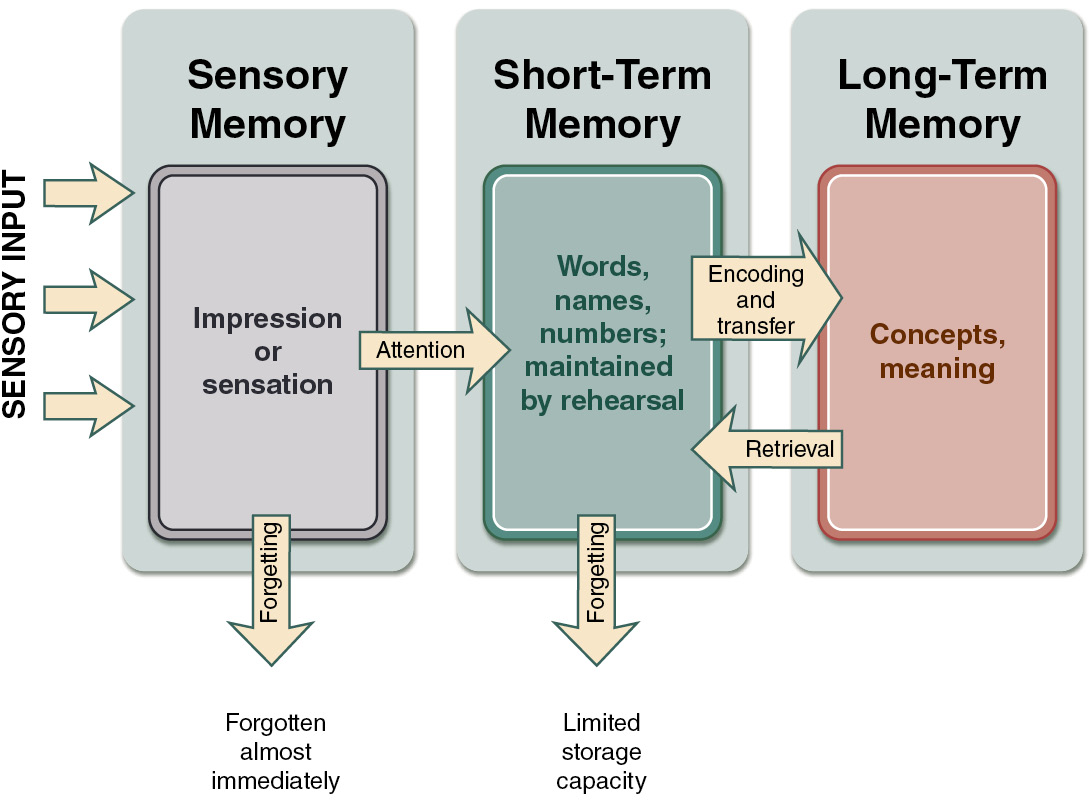 what is encoding in memory